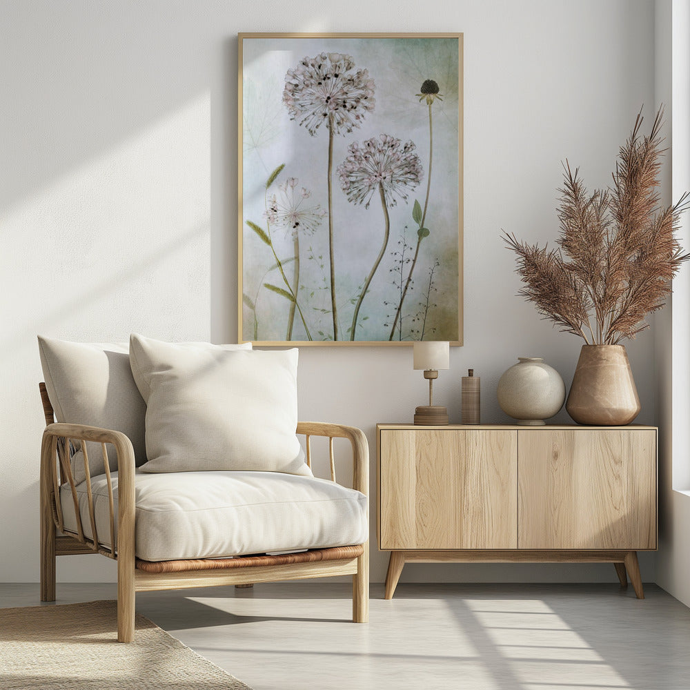 Allium | Poster