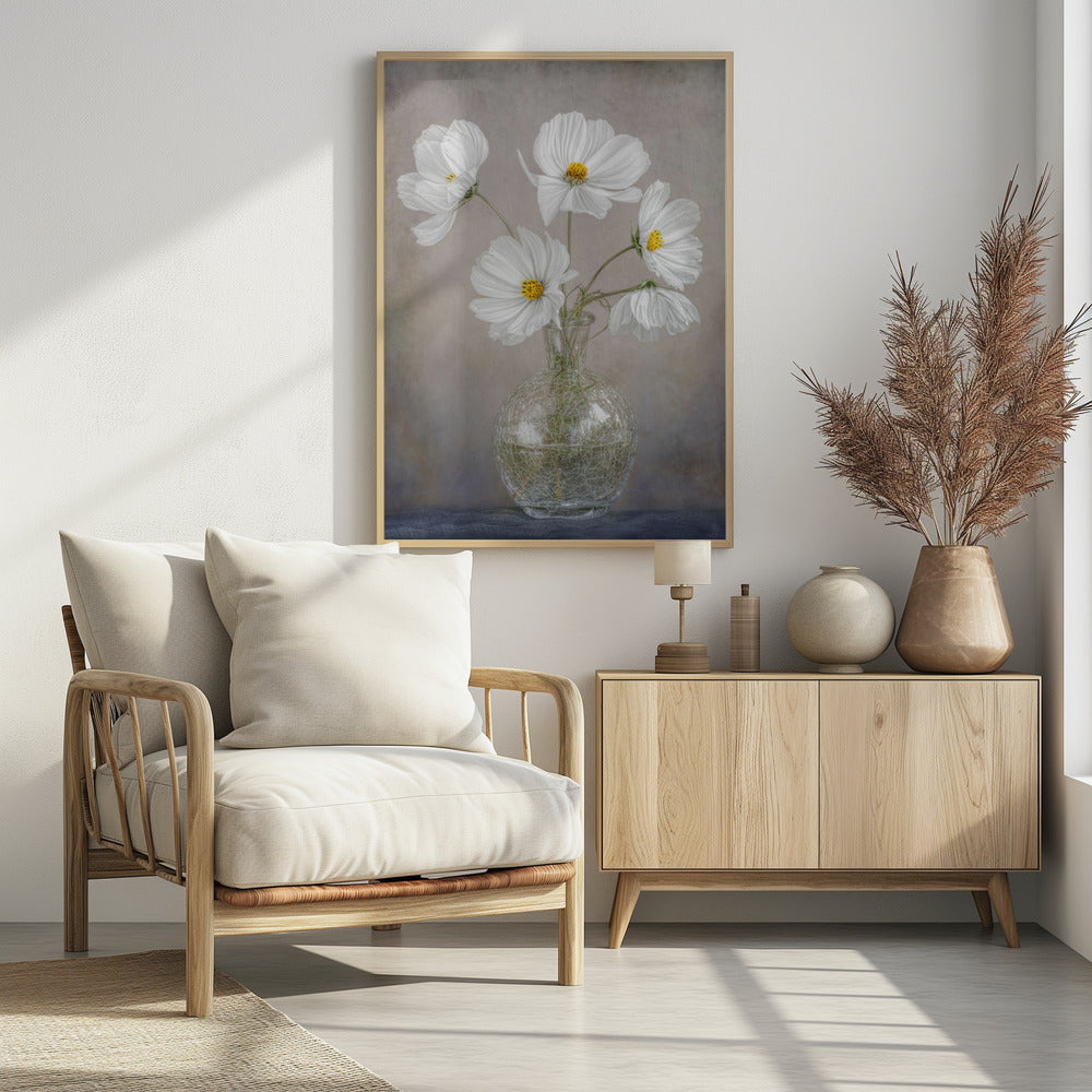Simply Cosmos | Poster