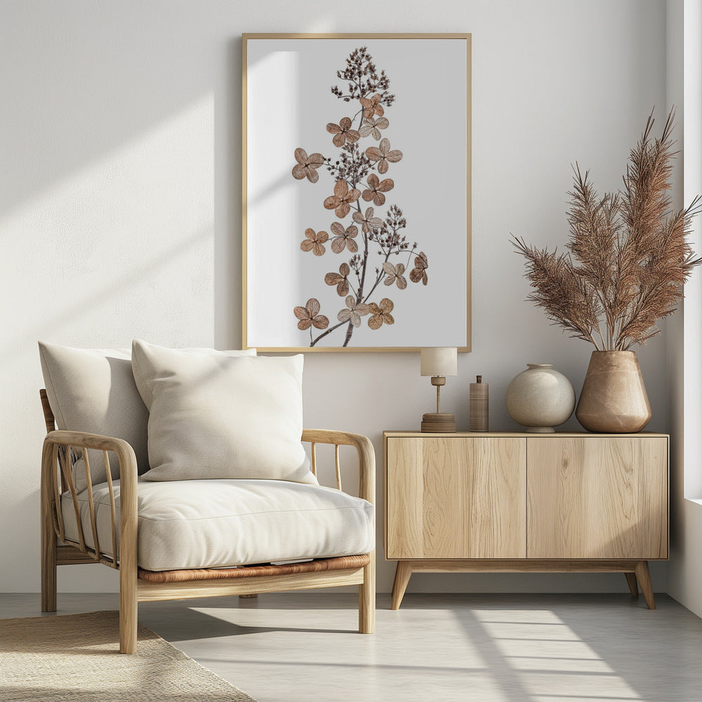 Hydrangea Paniculata | Poster