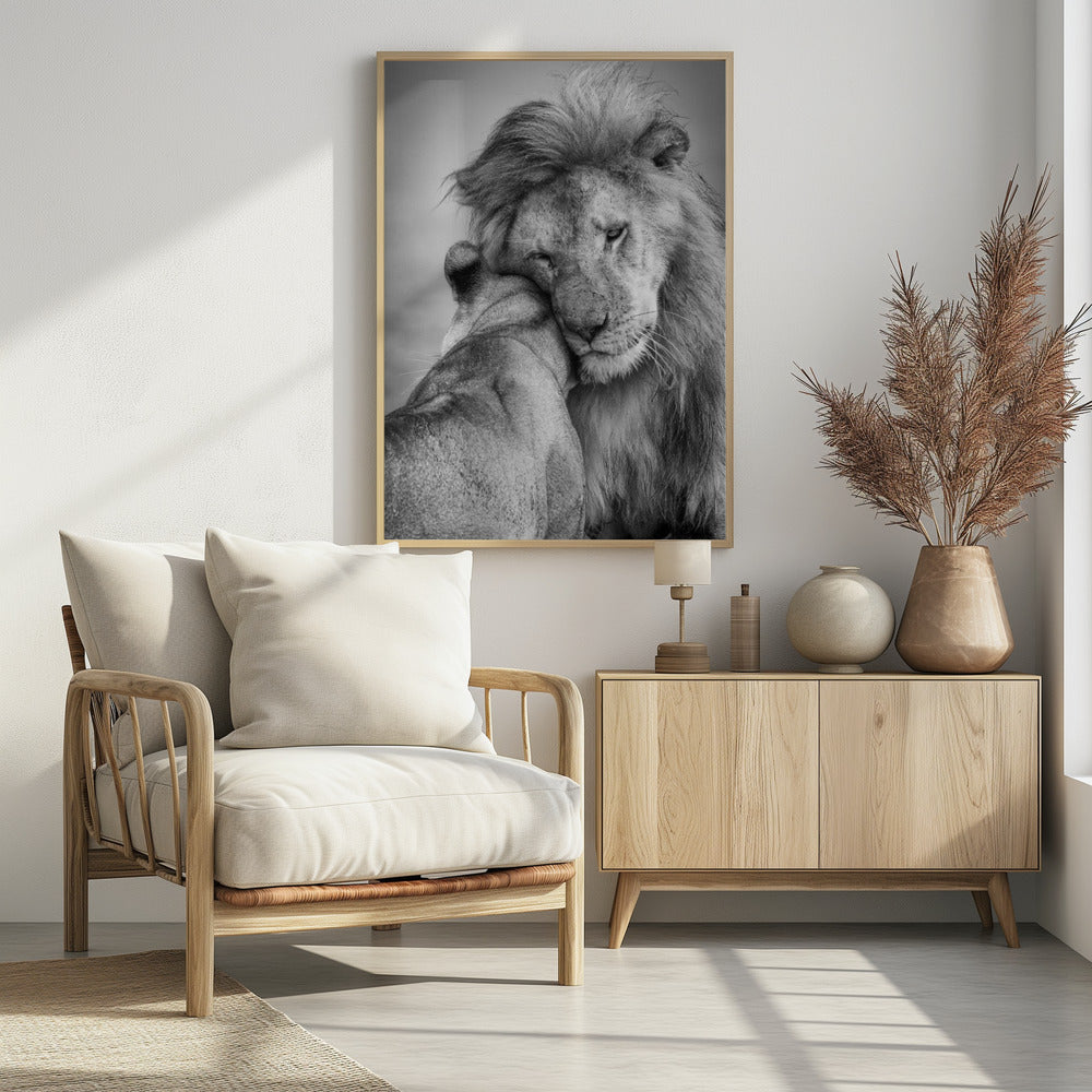 Afrikanische Liebe! | Poster