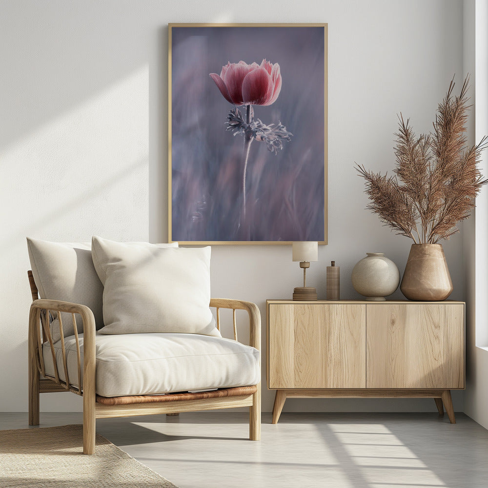 Pink! Na und? | Poster