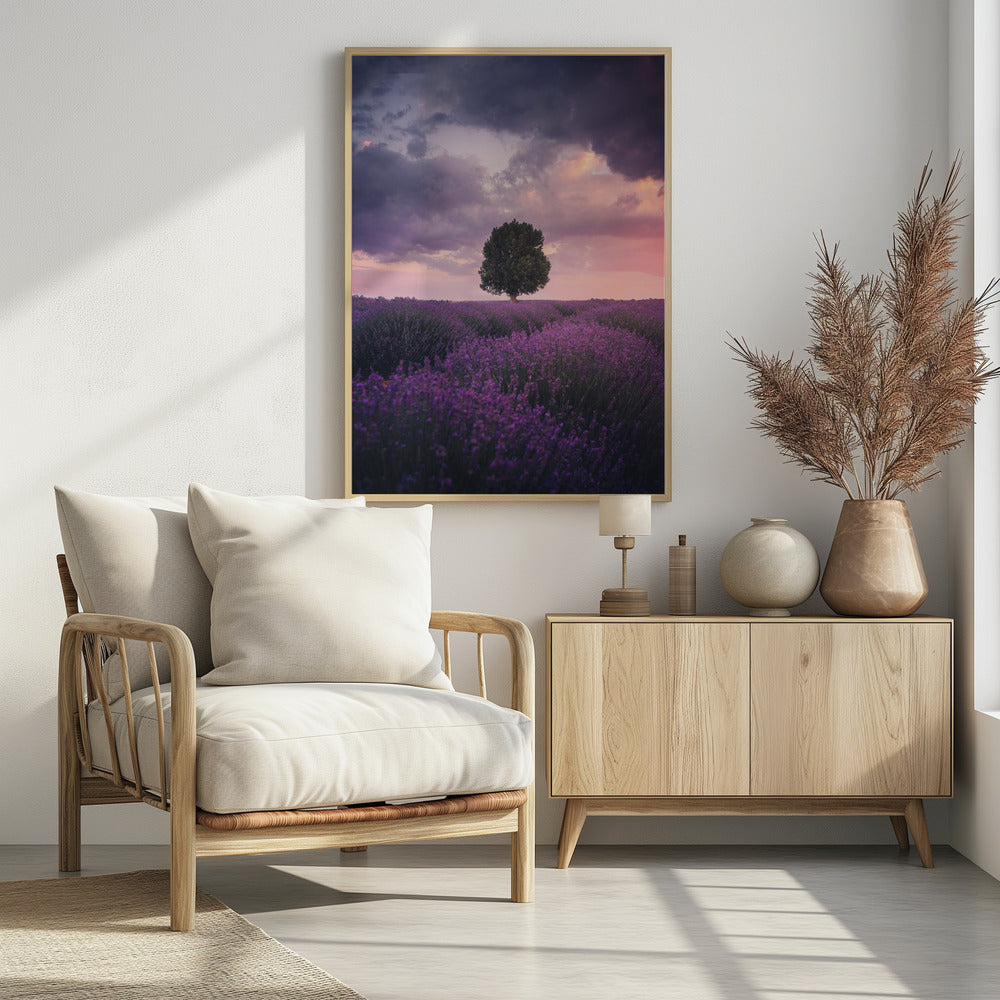 Lavendelfelder, Isparta | Poster