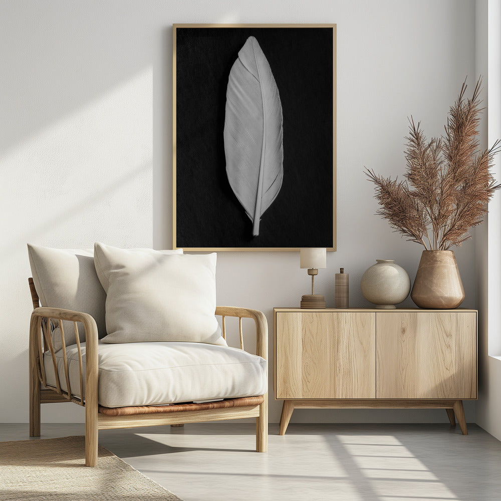 Feather_008 | Poster