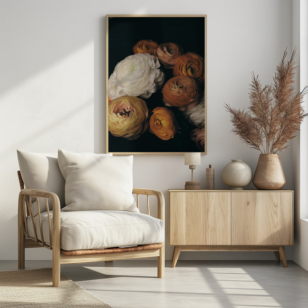 Ranunkeln | Poster