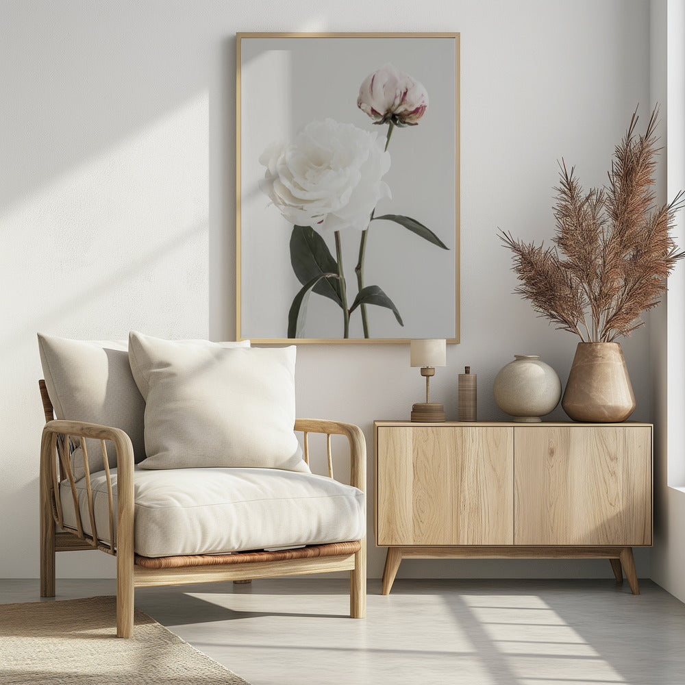 Peony 12 | Poster