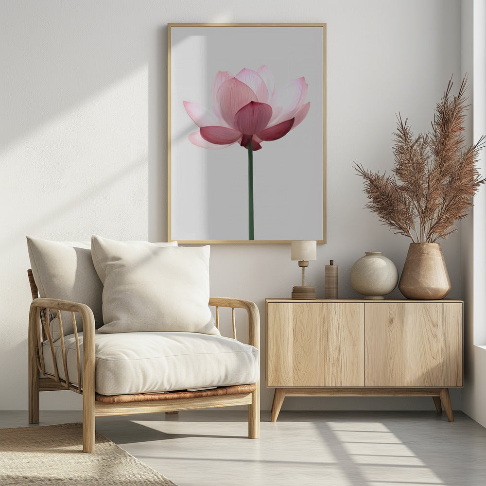 Lotusblume | Poster