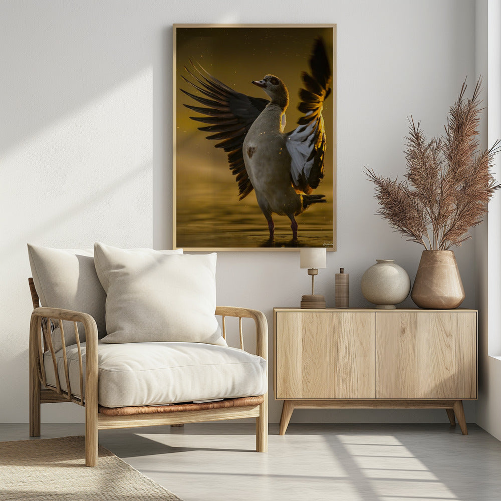 Offenes Herz | Poster