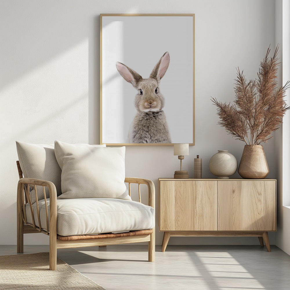 Baby Rabbit | Poster