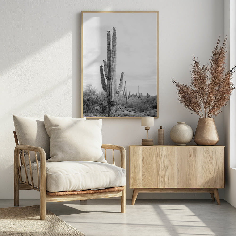 Saguaro Schwarzweiß | Poster