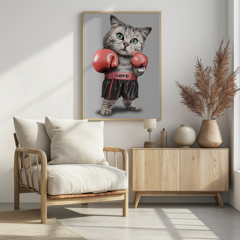 Boxende Katze | Poster