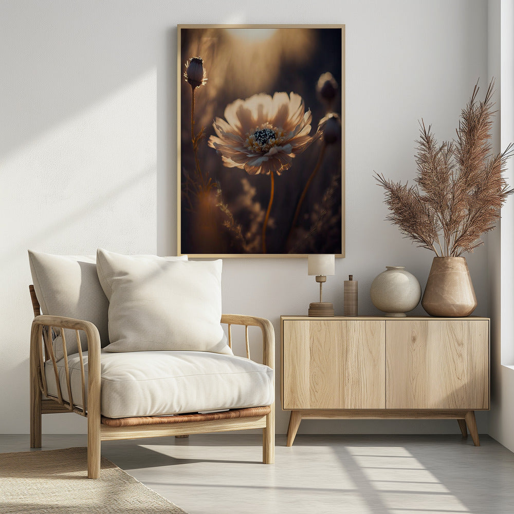 Sonnenbeschienene Blüte | Poster