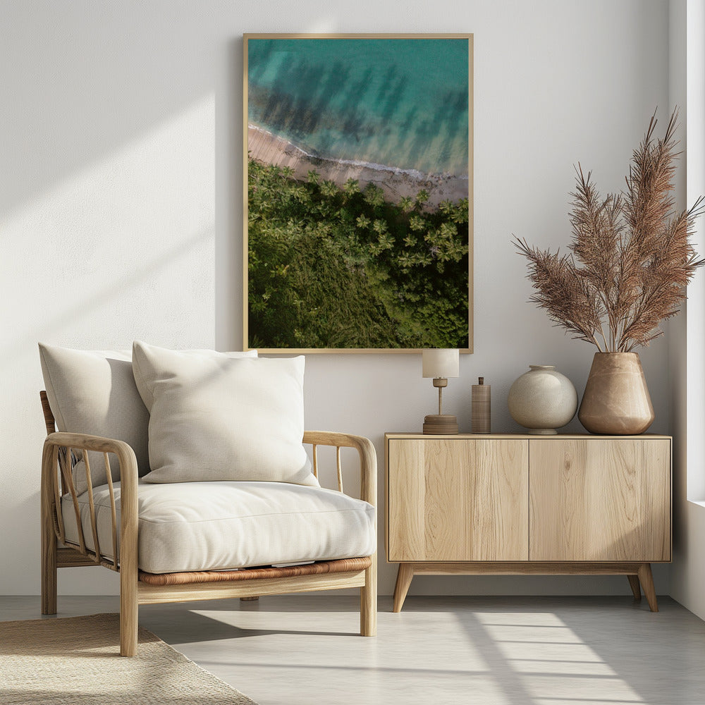 Palm Beach von oben | Poster
