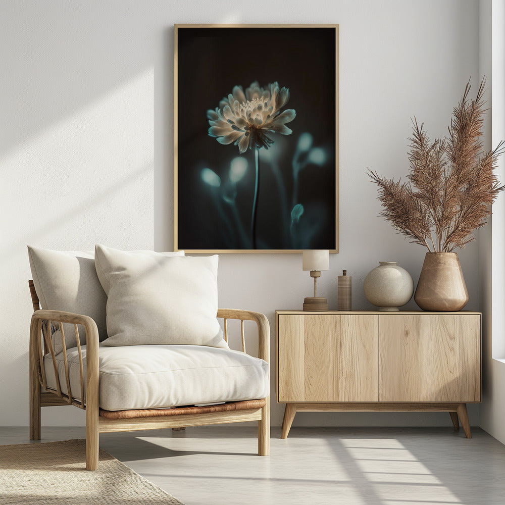 „Leuchtende Blüte“ | Poster