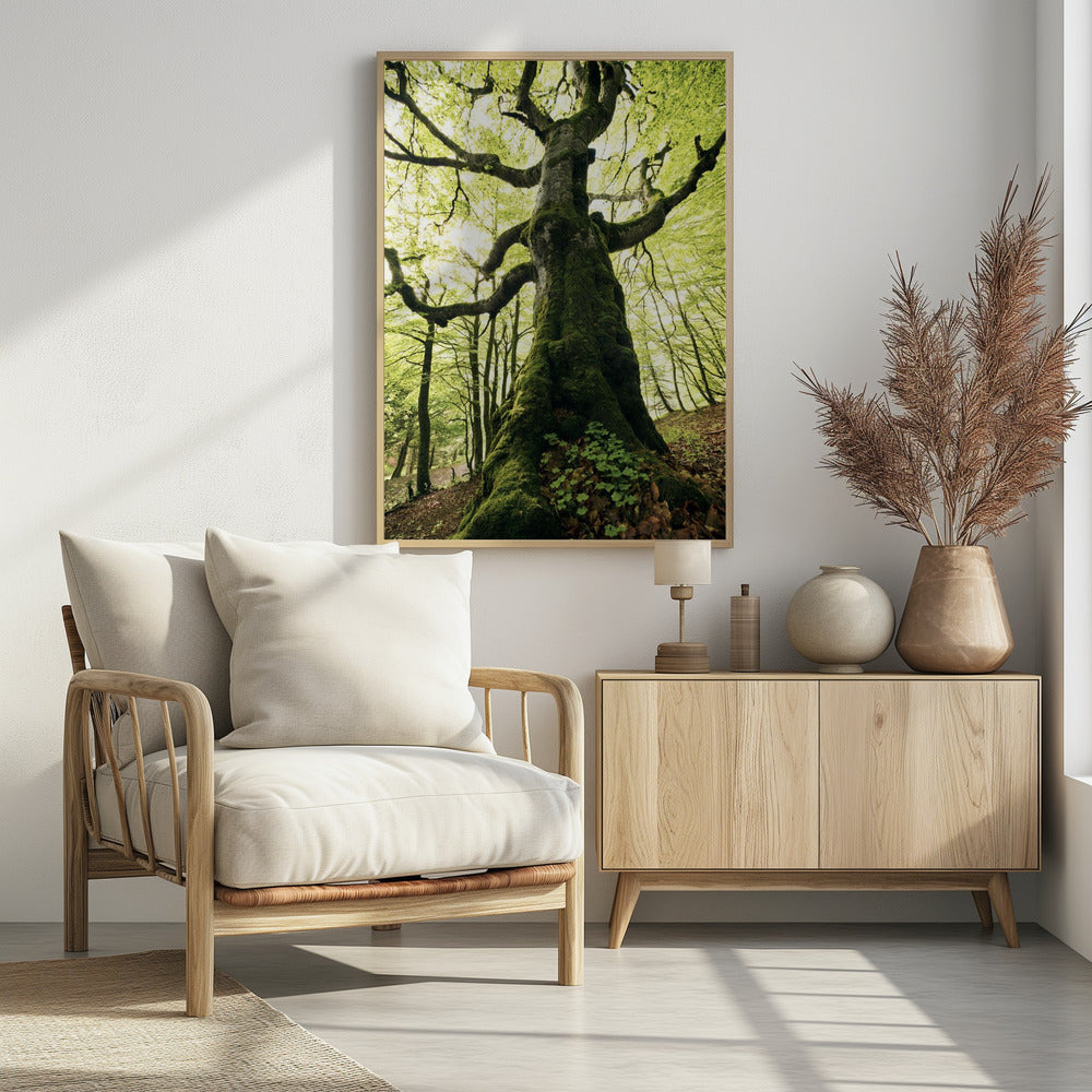 Ent | Poster