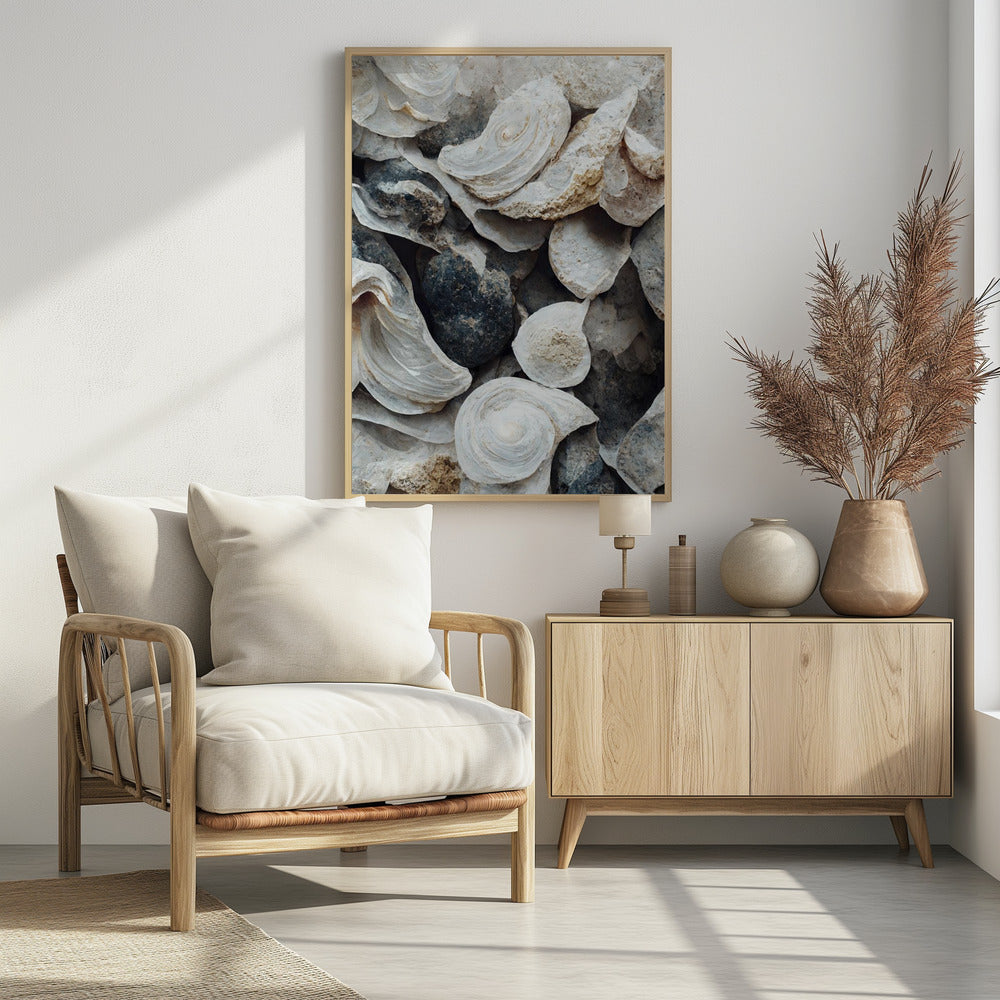 Muscheln und Stein | Poster