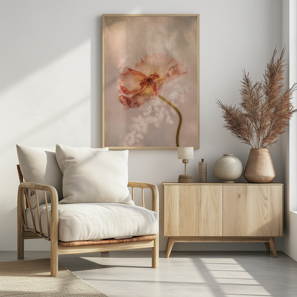 Strahlender Mohn | Poster