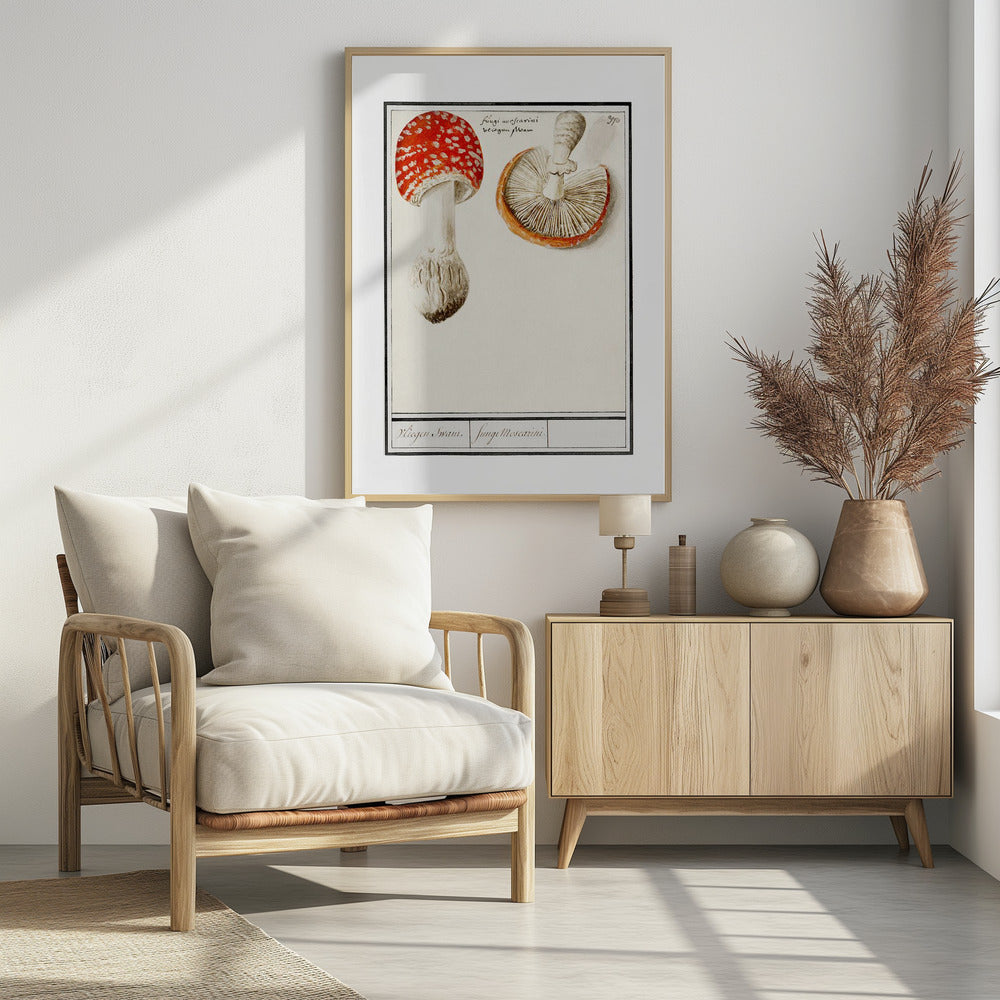 Fliegenpilz, Amanita Muscaria | Poster