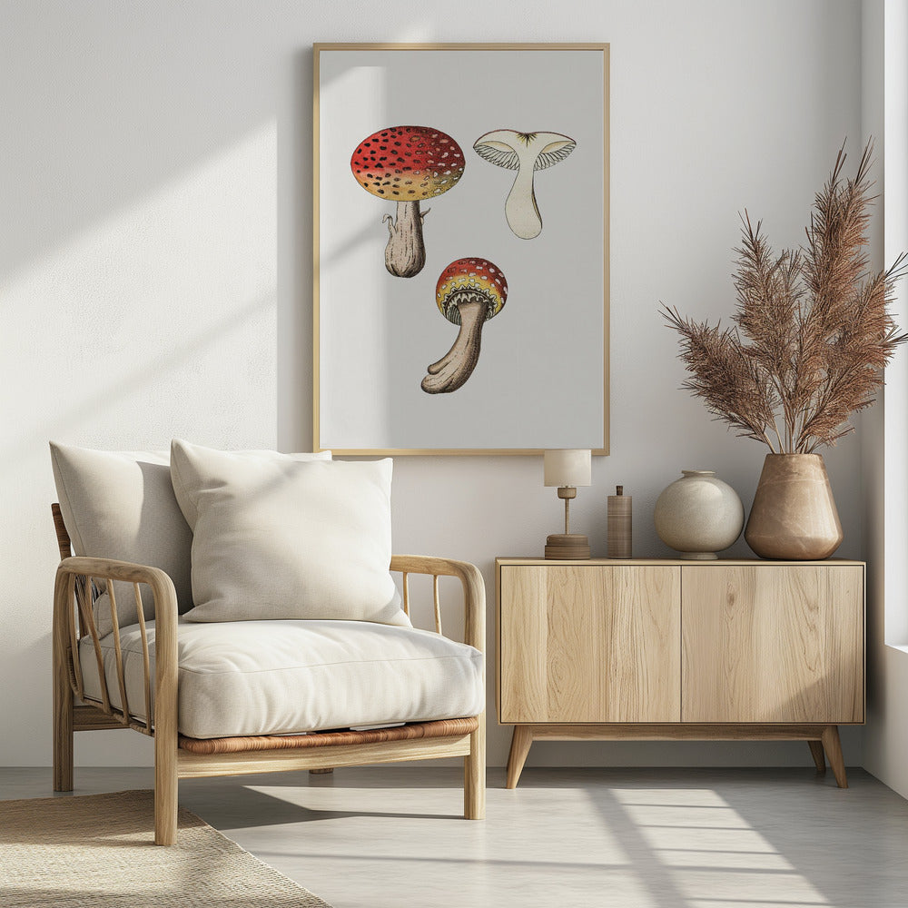 Hand Drawn Fly Agaric Mushroom | Poster