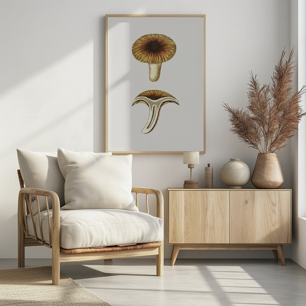 Vintage Chanterelles Edible Mushroom | Poster