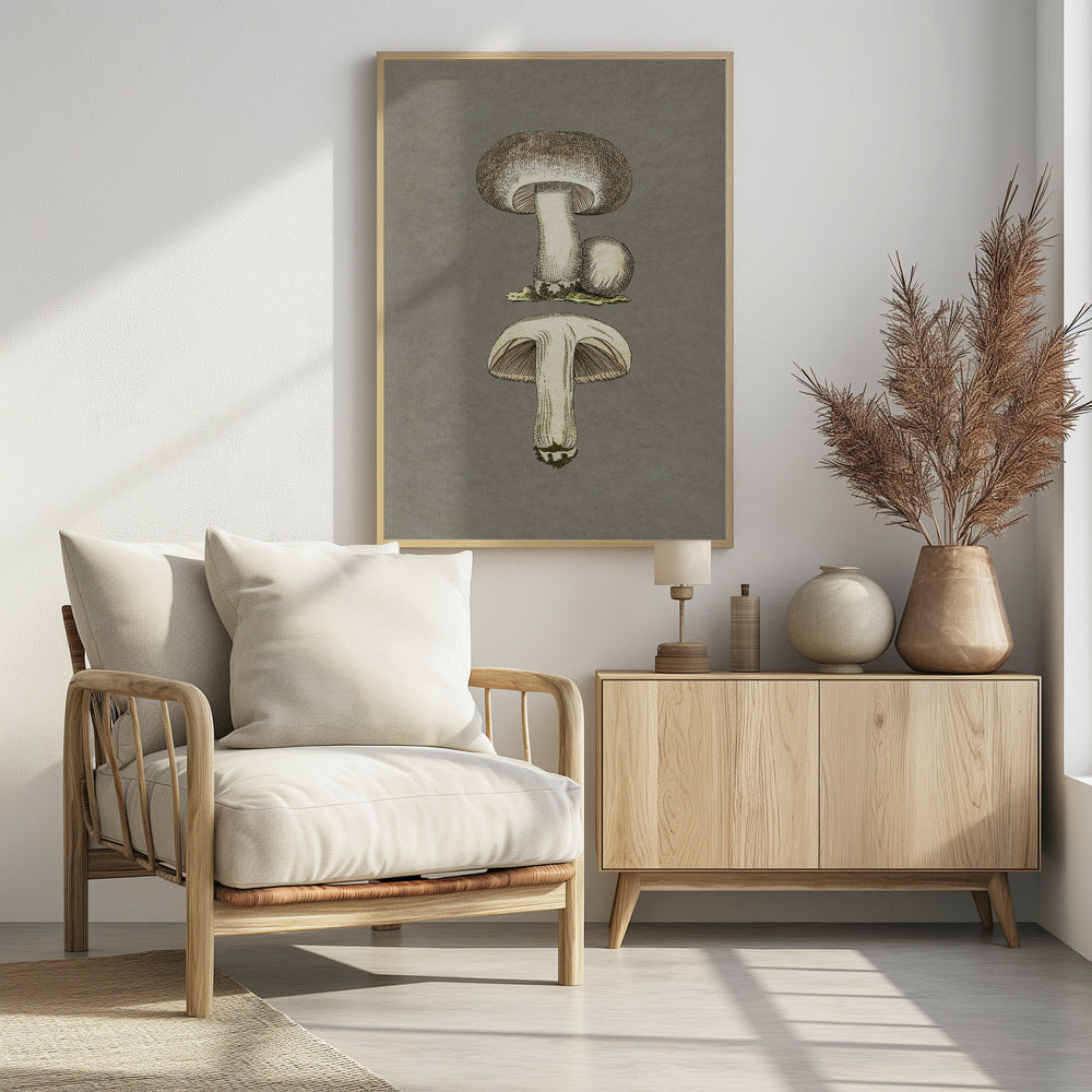 Feldpilz | Poster