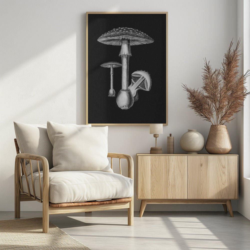 Amanita Muscaria Dunkler Hintergrund BW | Poster