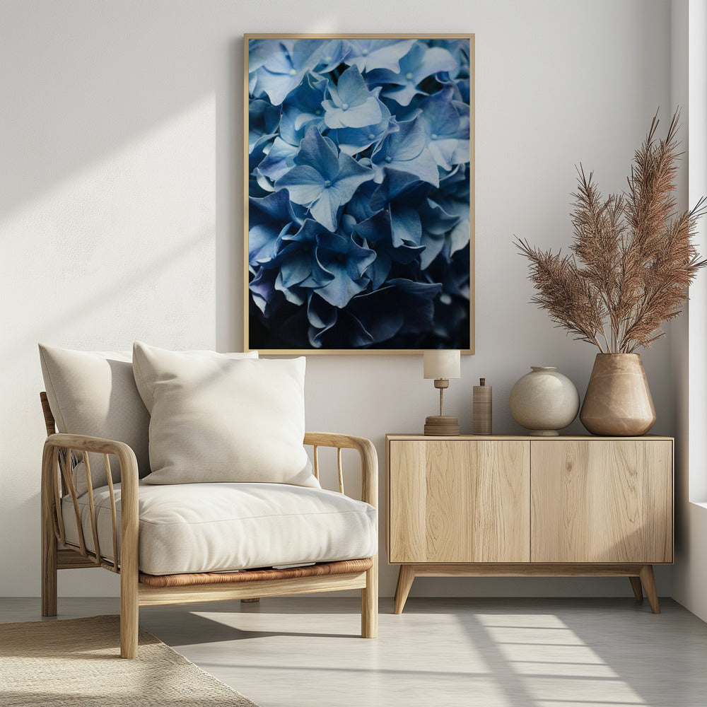 Hübscher Anblick Blaue Hortensie | Poster