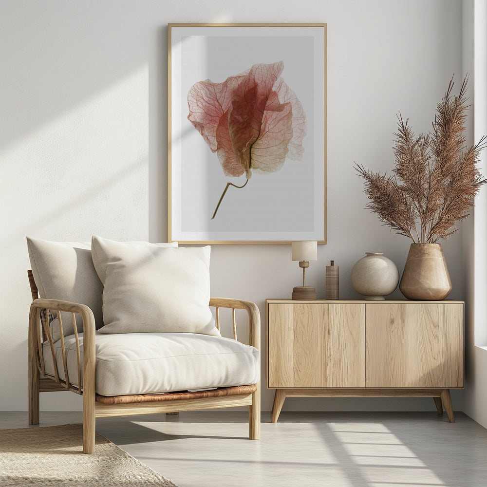 Delicate Petal Veins | Poster