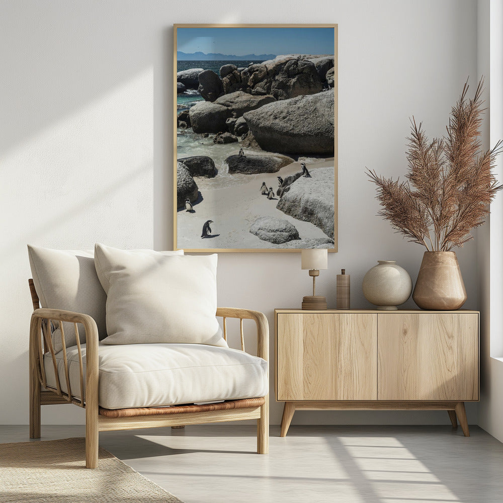 Pinguin-Bucht-Gelassenheit | Poster