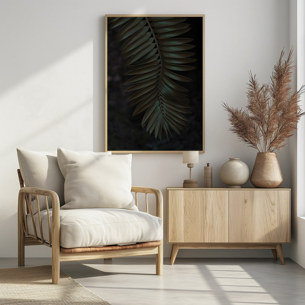 Frond in Shadow | Poster