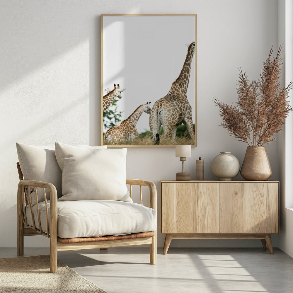Giraffenspaziergang | Poster