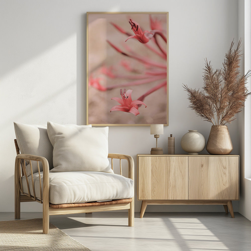 Blütenblätter im Fokus | Poster