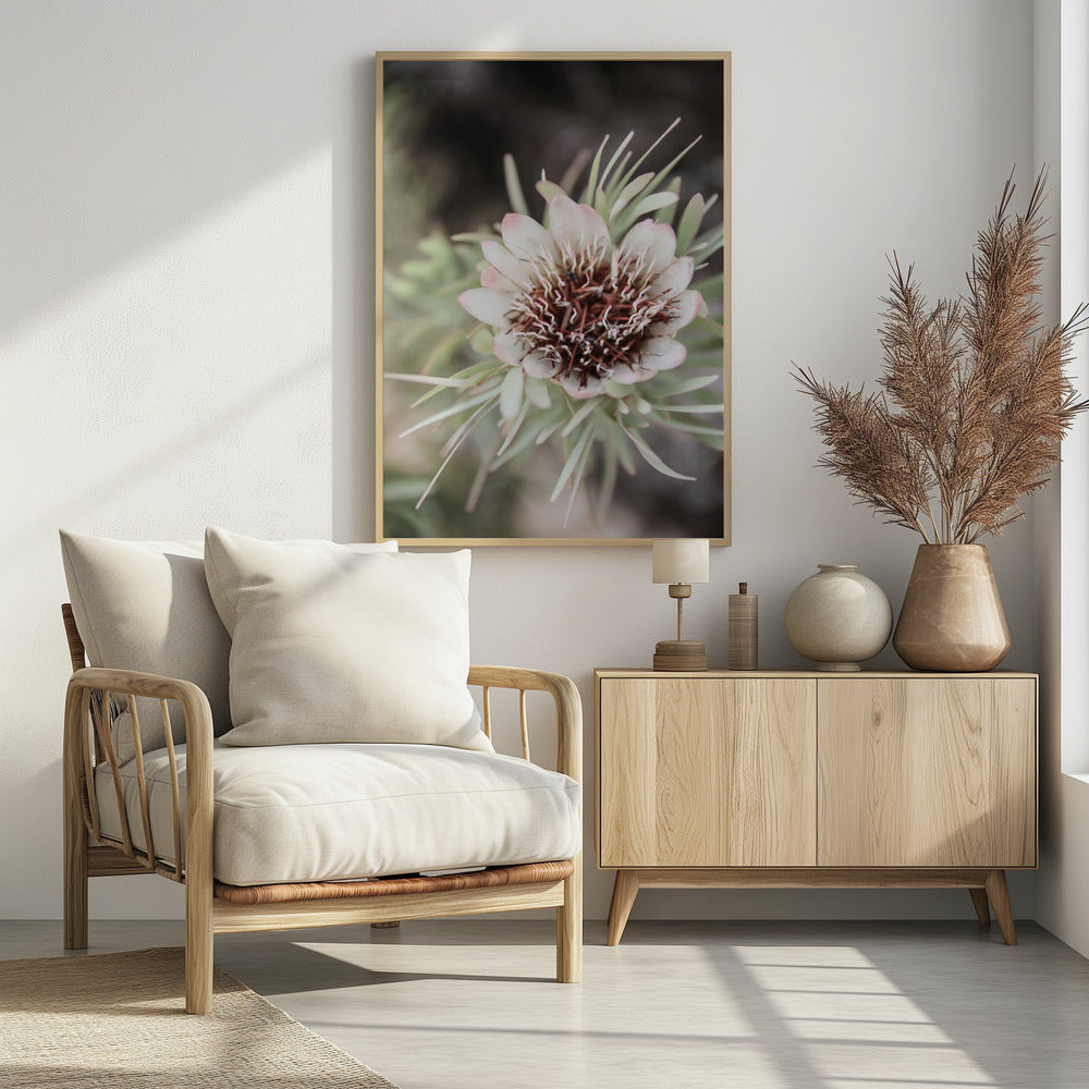 Wüstenblüte Halo | Poster