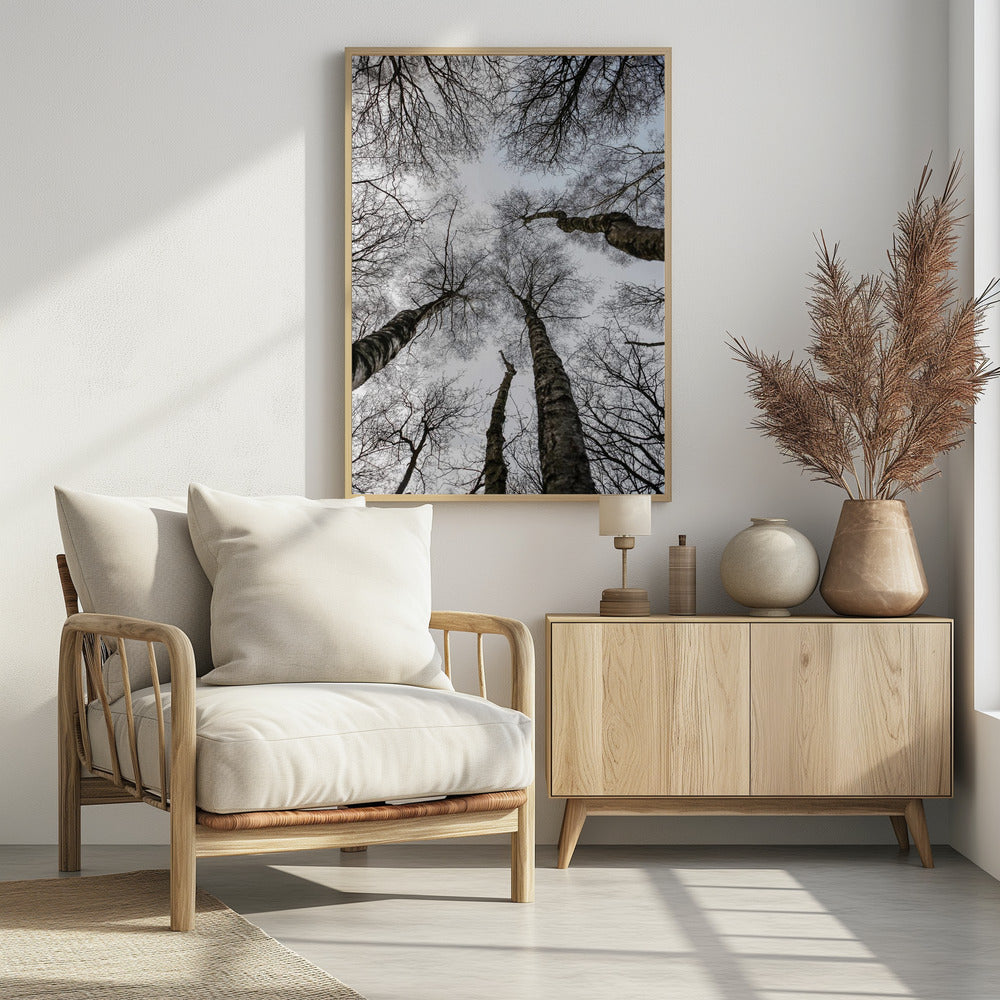 Winterumarmung | Poster