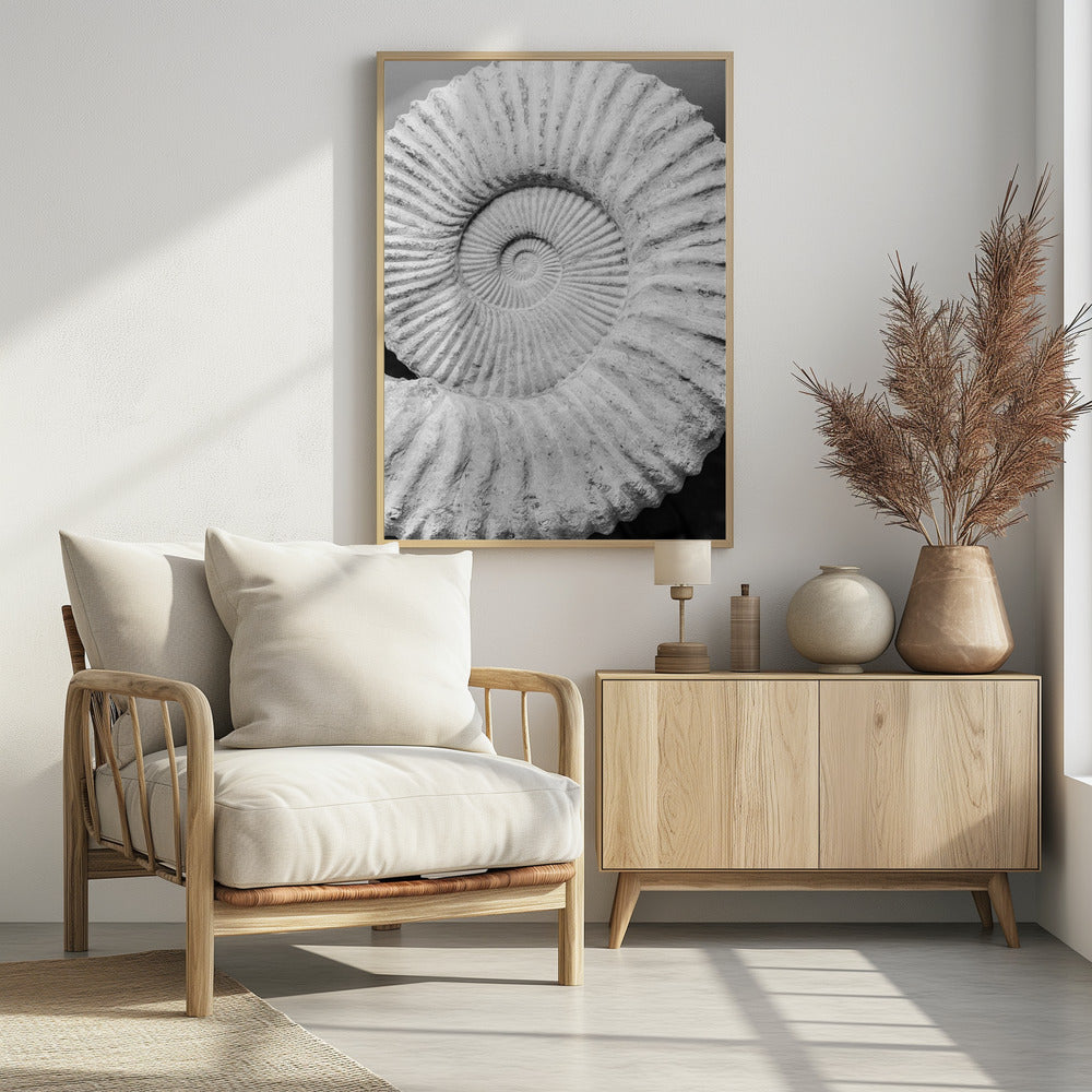Uralte Spiralträume | Poster