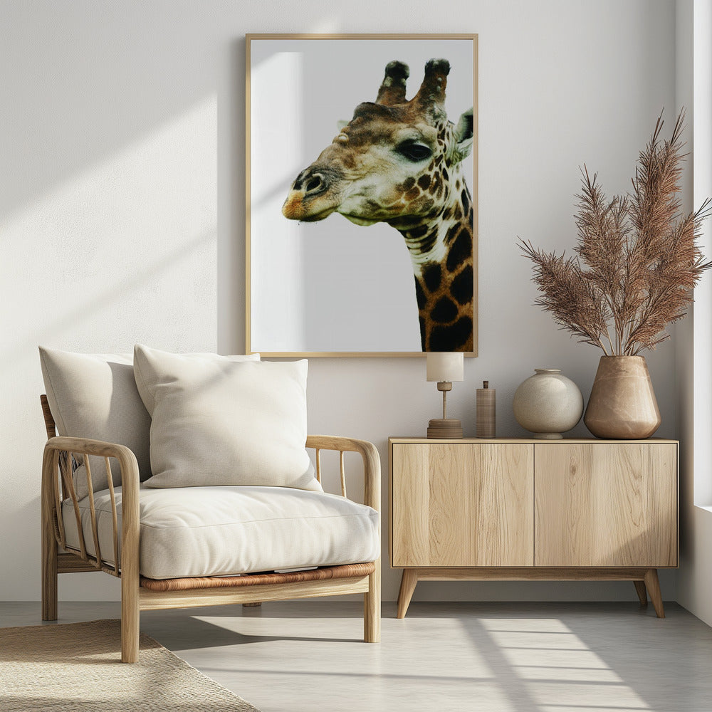 Giraffen-Gemälde | Poster