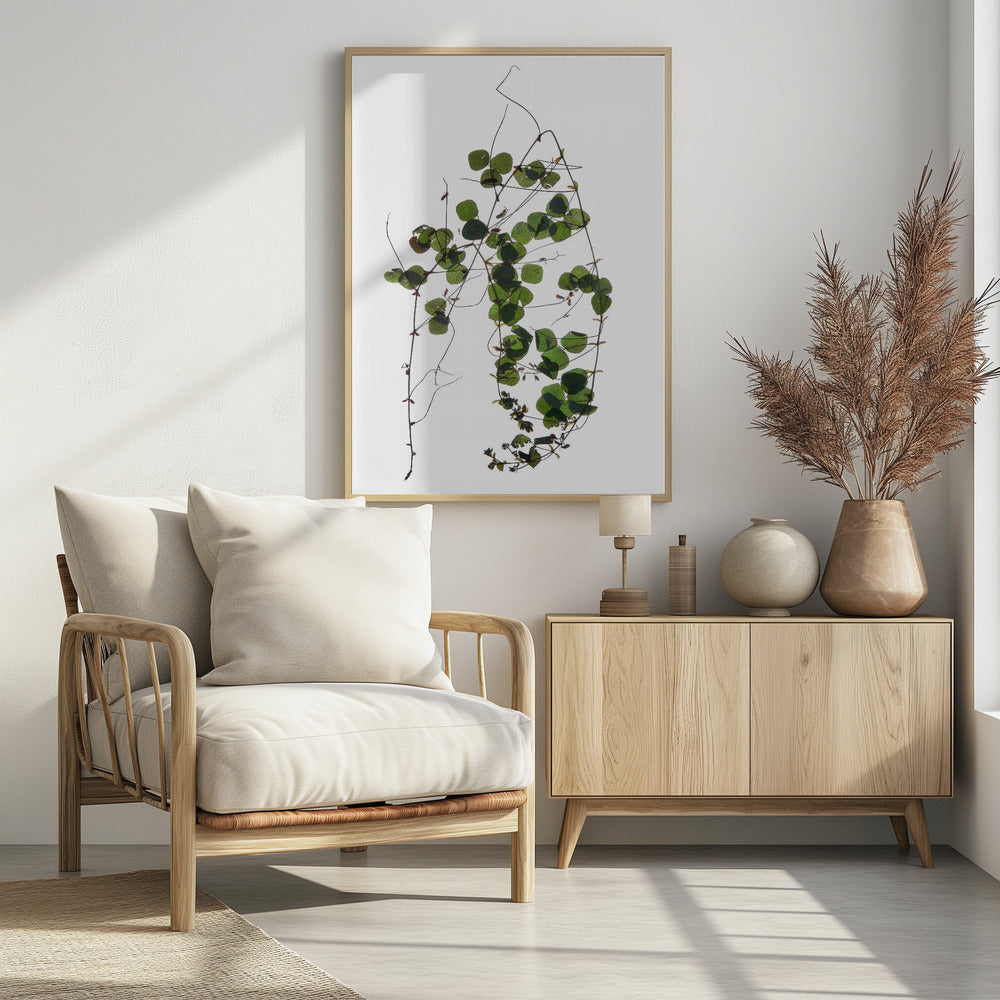 Vines Tanz | Poster