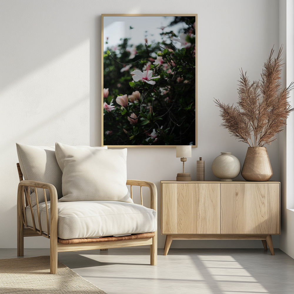 Blüten in voller Blüte | Poster