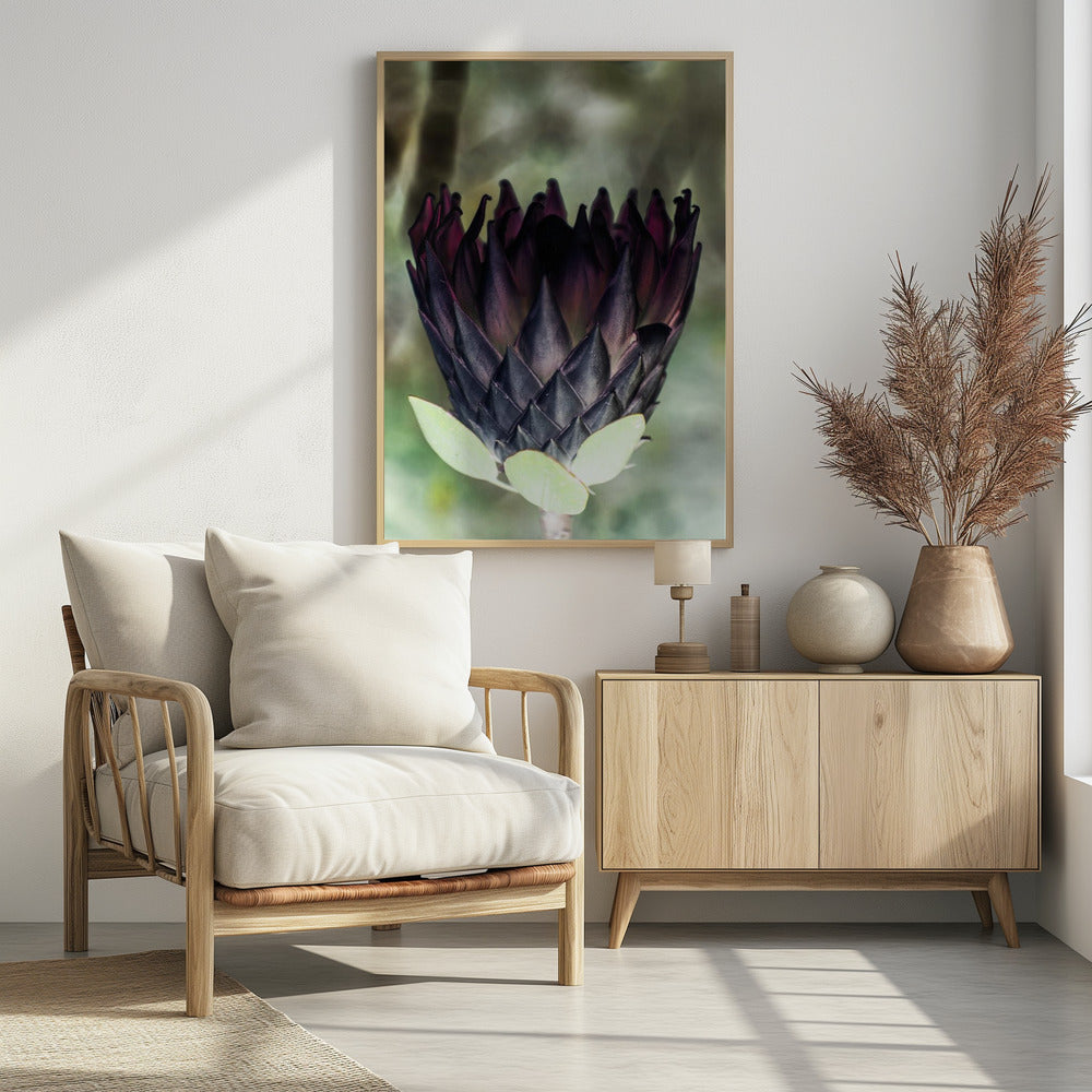 Schattenblüte | Poster