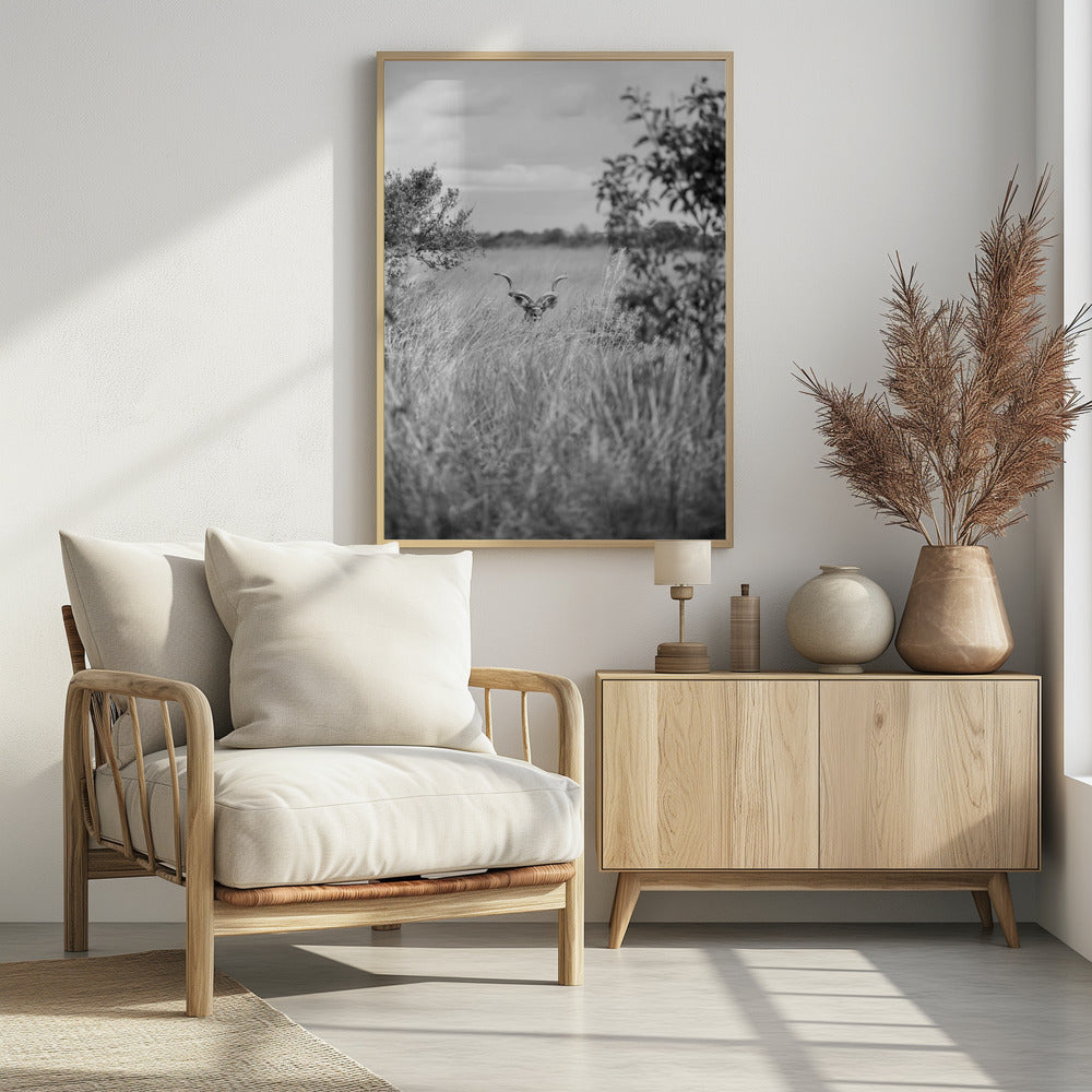 Versteckt im Gras | Poster