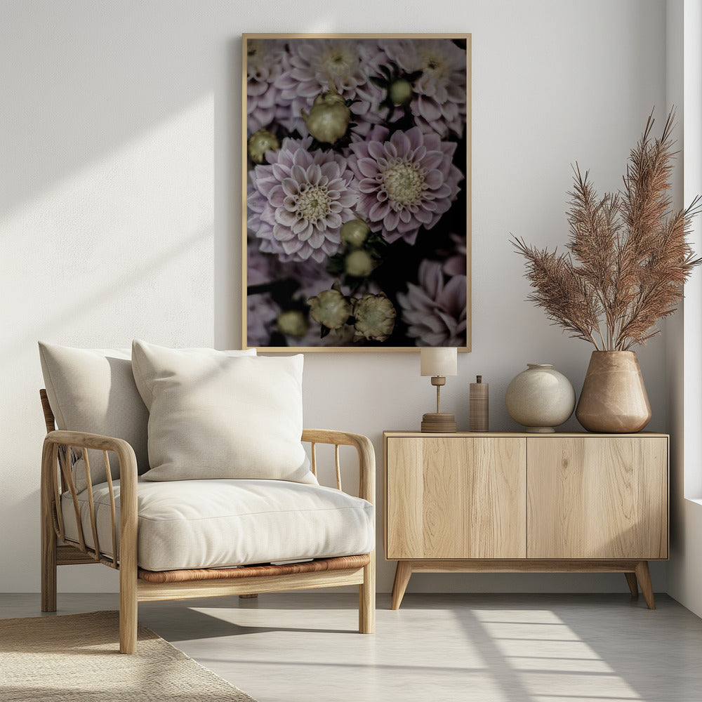 Blütenblätter in voller Blüte | Poster