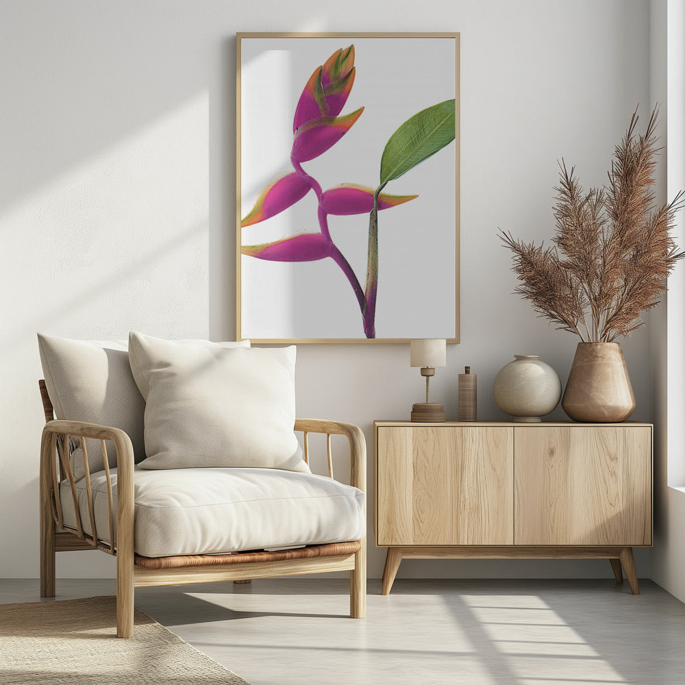 Tropische Eleganz | Poster