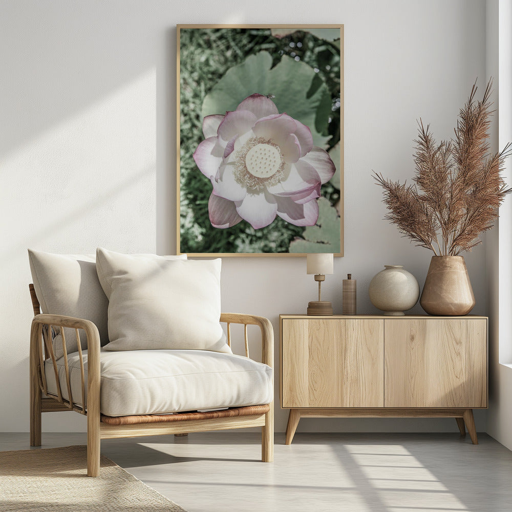 Lotus Gelassenheit | Poster