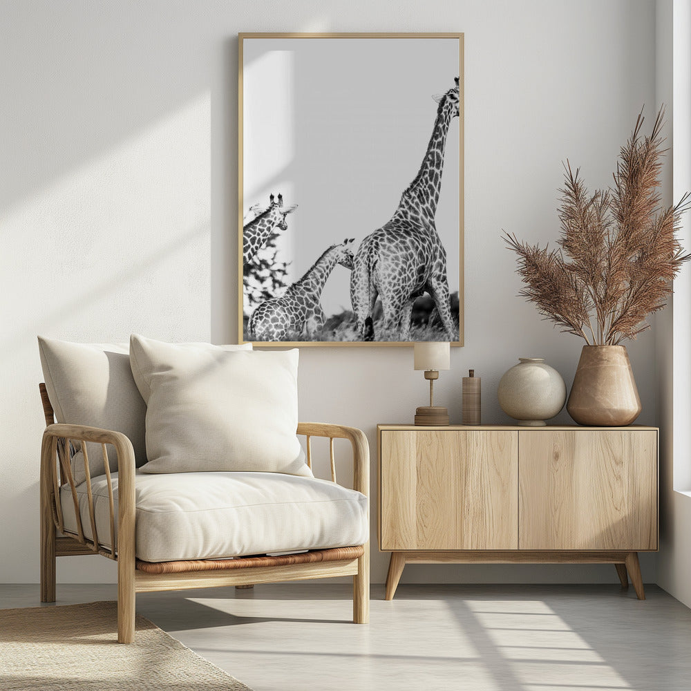 Giraffen-Familienspaziergang | Poster