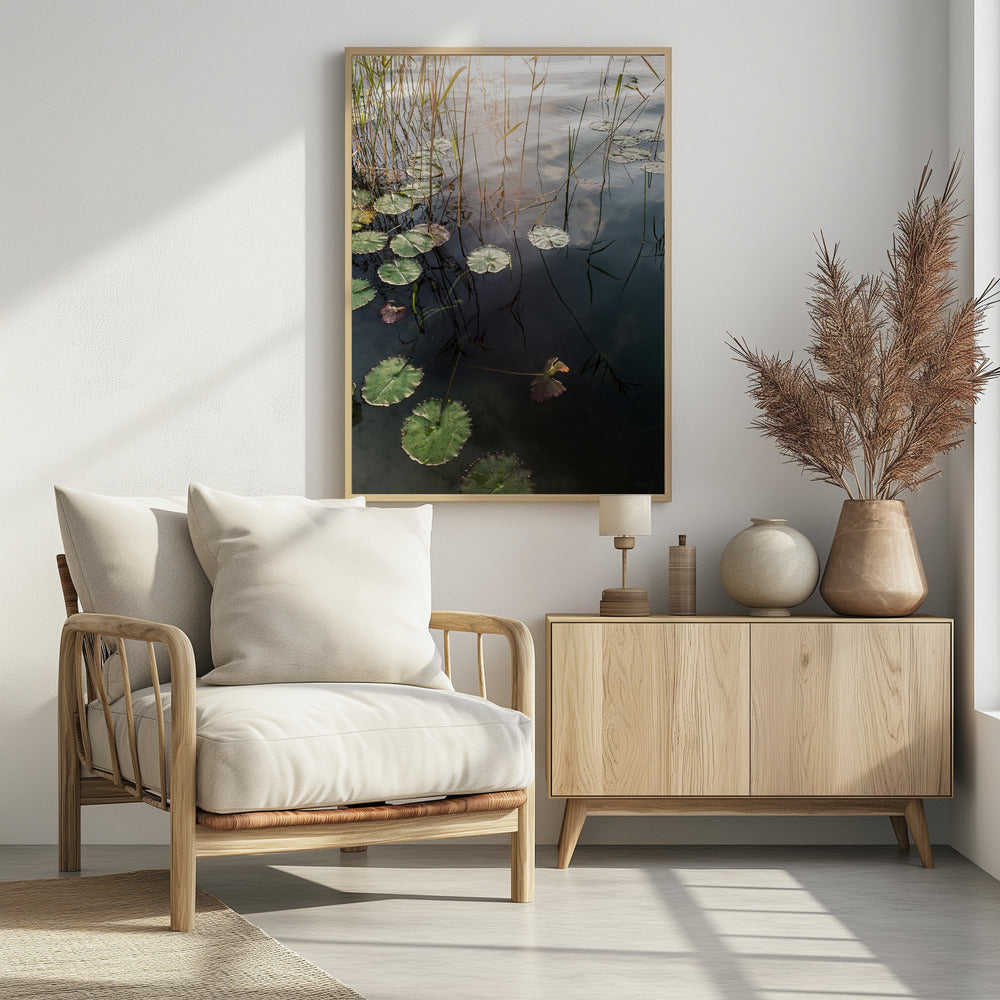 Lilys ruhige Morgendämmerung | Poster