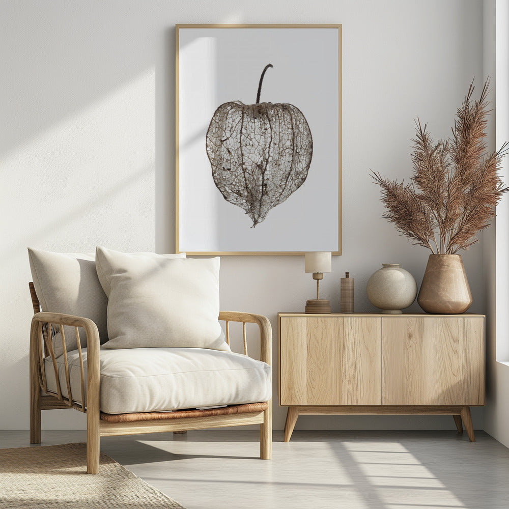 Der zerbrechliche Schleier der Natur | Poster