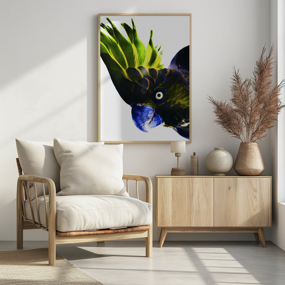 Lebendiger Vogelblick | Poster