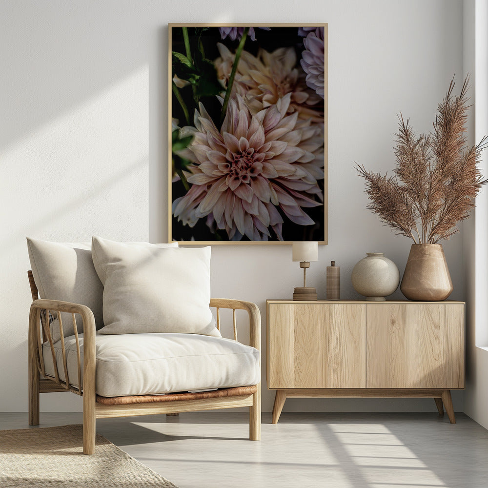 Blütenblätter in voller Blüte | Poster