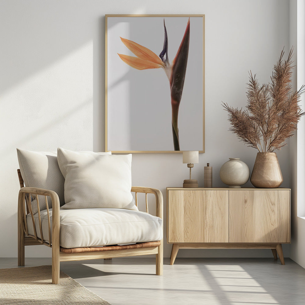 Lebendige Blüte | Poster