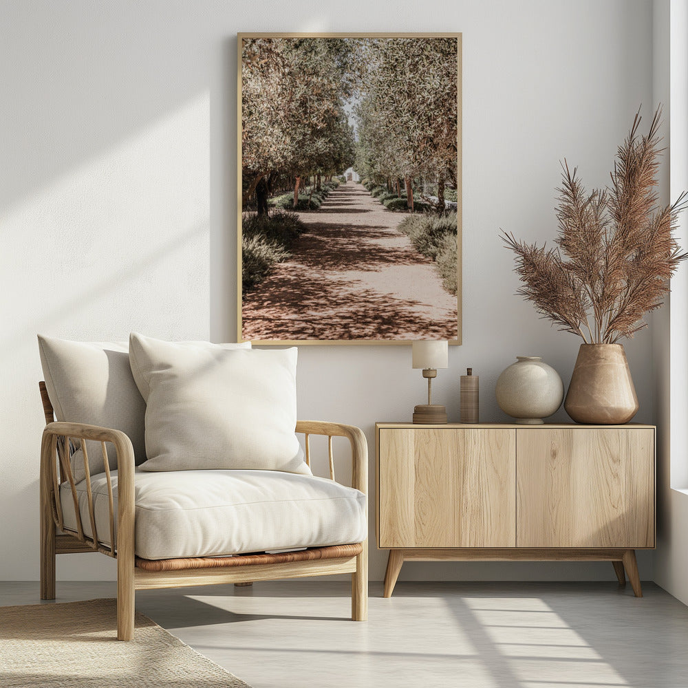 Ein ruhiger, von Bäumen gesäumter Weg im Sonnenlicht | Poster