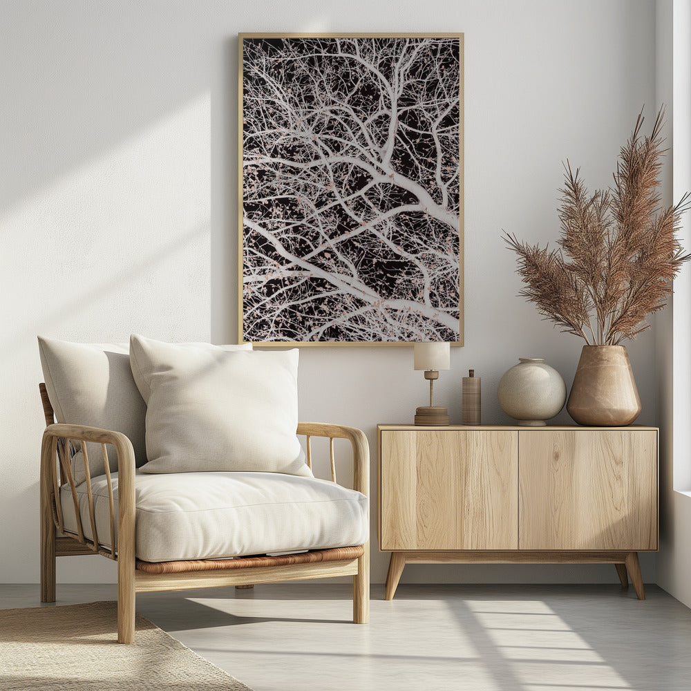 Tree Branches | Poster